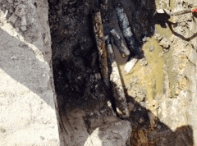 Slide of Nuckles & Son