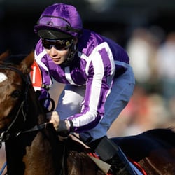 Breeders Cup Races
