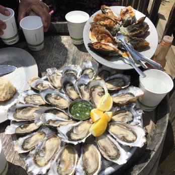 Hog Island Oyster - Raw 24 for 66 - Seafood Near Me - Marshall, California