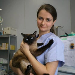 Clinica Veterinaria Lorenteggio