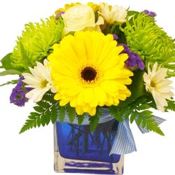 Bill Bush Flowers - Photo
