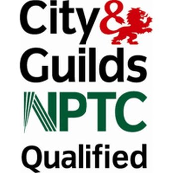 Kent Tree Care - NPTC Qualified - Tree Services Near Me - Kent, KEN