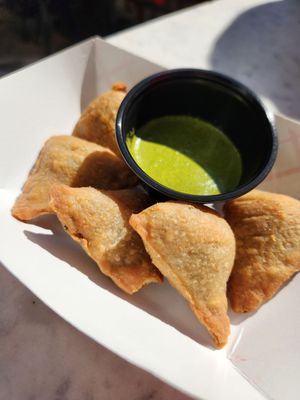 The Onion Tree by null