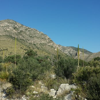 Guadalupe Mountains National Park - Starting the Guadalupe Peak Trail - Parks Near Me - Salt Flat, Texas