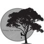 Photo of Nolasco Tree Service And Landscaping