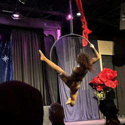 Planet Ant Theatre - Aerial