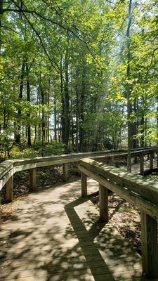 Porcupine Mountains Wilderness State Park by null