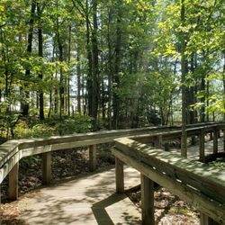 Porcupine Mountains Wilderness State Park