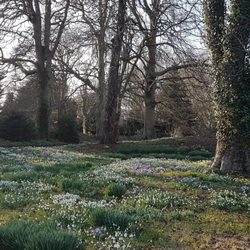 Primrose Hill Gardens