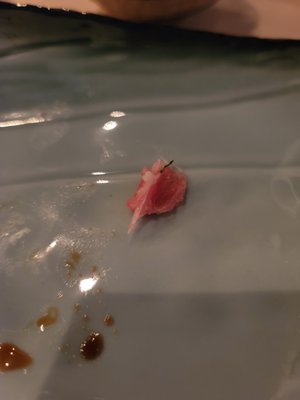 Hinoki Sushiko by null