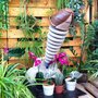 Photo of Erotic Museum 69
