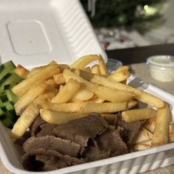 Tak Grill Fresh Mediterranean Food - Kids gyro pita