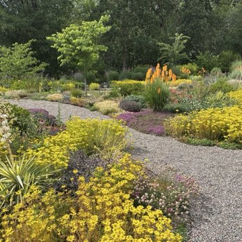 Patricia Green Cellars - Garden - Wineries Near Me - Newberg, Oregon