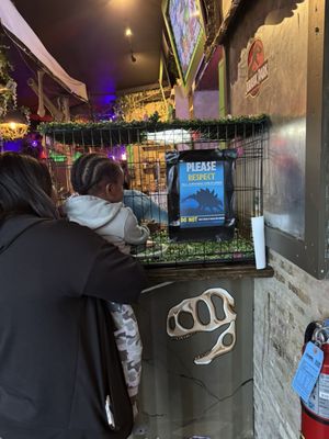 Neon Gardens by null