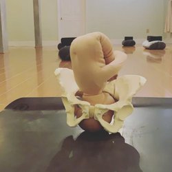CLT Prenatal Collective