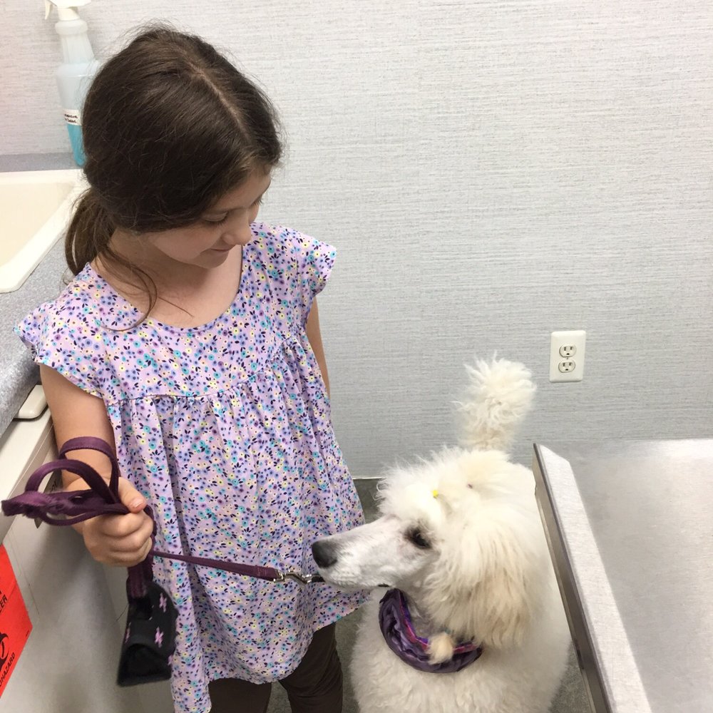 Park Veterinary Group - Daughter holding standard poodle puppy at visit. Very accommodating of all 4 of my children also! - Veterinarians Near Me - Roselle Park, New Jersey Park Veterinary Group - Daughter holding standard poodle puppy at visit. Very accommodating of all 4 of my children also! - Veterinarians Near Me - Roselle Park, New Jersey