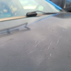 Low Price Auto Glass - they scratched my hood.