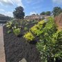 Photo of Lighterknot Creek Landscape Design