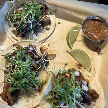 Harvest House - Mushrooms tacos - Cocktail Bars Near Me - Friendsville, Maryland Harvest House - Mushrooms tacos - Cocktail Bars Near Me - Friendsville, Maryland