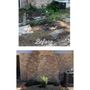 Photo of Always Fresh Landscaping
