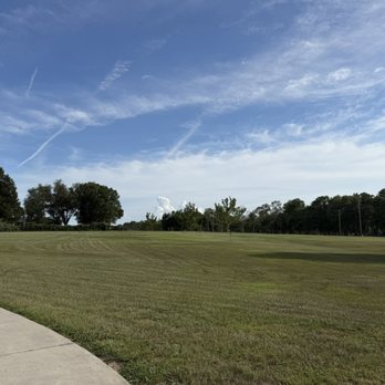 Semper Grind - After mow job. - Tree Services Near Me - Dade City, Florida Semper Grind - After mow job. - Tree Services Near Me - Dade City, Florida