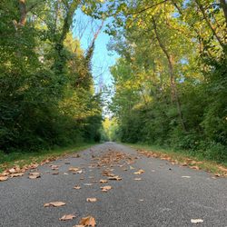 Valley Bike Rental
