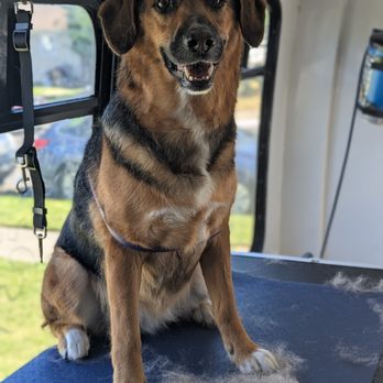 Fluff Pet Parlor - Pet Groomers Near Me - Spokane, Washington Fluff Pet Parlor - Pet Groomers Near Me - Spokane, Washington