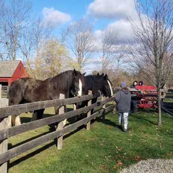 June Farms - Horses - Pizza Near Me - West Sand Lake, New York June Farms - Horses - Pizza Near Me - West Sand Lake, New York