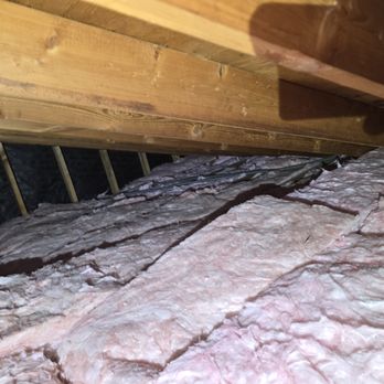 The Attic Cats - new insulation - Pest Control Near Me - San Fernando Valley, California The Attic Cats - new insulation - Pest Control Near Me - San Fernando Valley, California