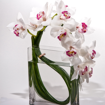 Greenworks Florist - Florists Near Me - Washington, DC, District of Columbia Greenworks Florist - Florists Near Me - Washington, DC, District of Columbia