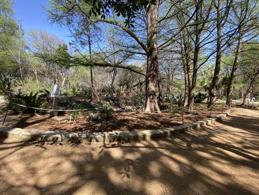 Zilker Botanical Garden by null