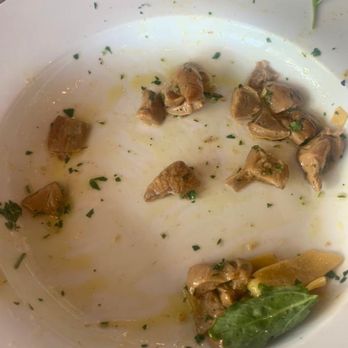 Fratelli La Bufala - The mushrooms we didn't like - Pizza Near Me - Miami Beach, Florida Fratelli La Bufala - The mushrooms we didn't like - Pizza Near Me - Miami Beach, Florida