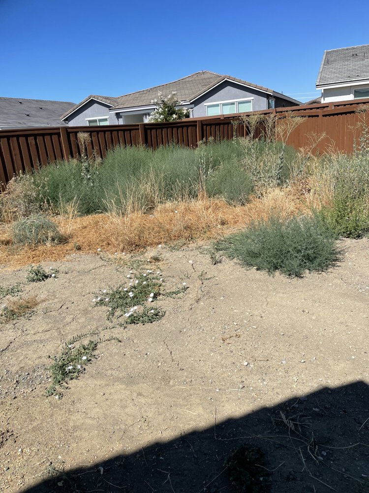 BARRAGAN LANDSCAPING Woodland, California Landscaping Phone