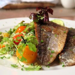 Restaurant Filosoof im Sudhaus - .....frisch im Filosoof