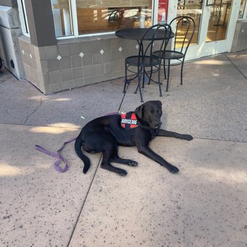 Jamba - He refused ice water for my service dog - Juice Bars & Smoothies Near Me - San Luis Obispo, California Jamba - He refused ice water for my service dog - Juice Bars & Smoothies Near Me - San Luis Obispo, California