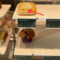 Starbucks - Flies on cheese danish