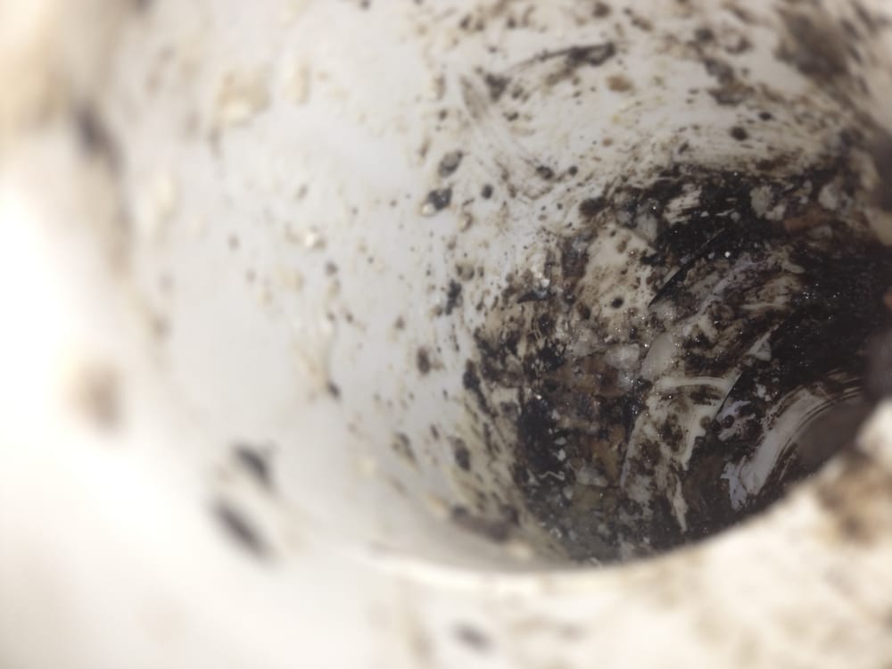 Slide of Roto-Rooter Plumbing & Water Cleanup