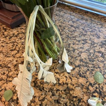Arden Park - Florists Near Me - Sacramento, California