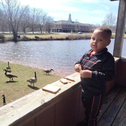 Heritage Park - John John feeding the ducks.