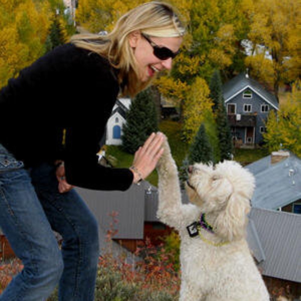 Bindi says Heather at Muddy Paws gets a High 5! Bindi says Heather at Muddy Paws gets a High 5!