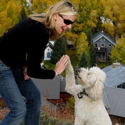 Bindi says Heather at Muddy Paws gets a High 5! Bindi says Heather at Muddy Paws gets a High 5!