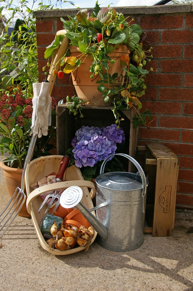 NANTYDERRY GARDEN CENTRE Updated August 2024 10 Photos Nantyderry