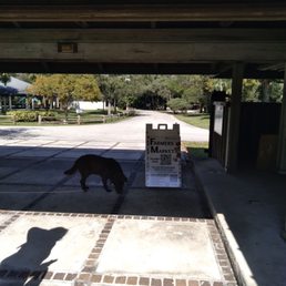 Entrance Entrance