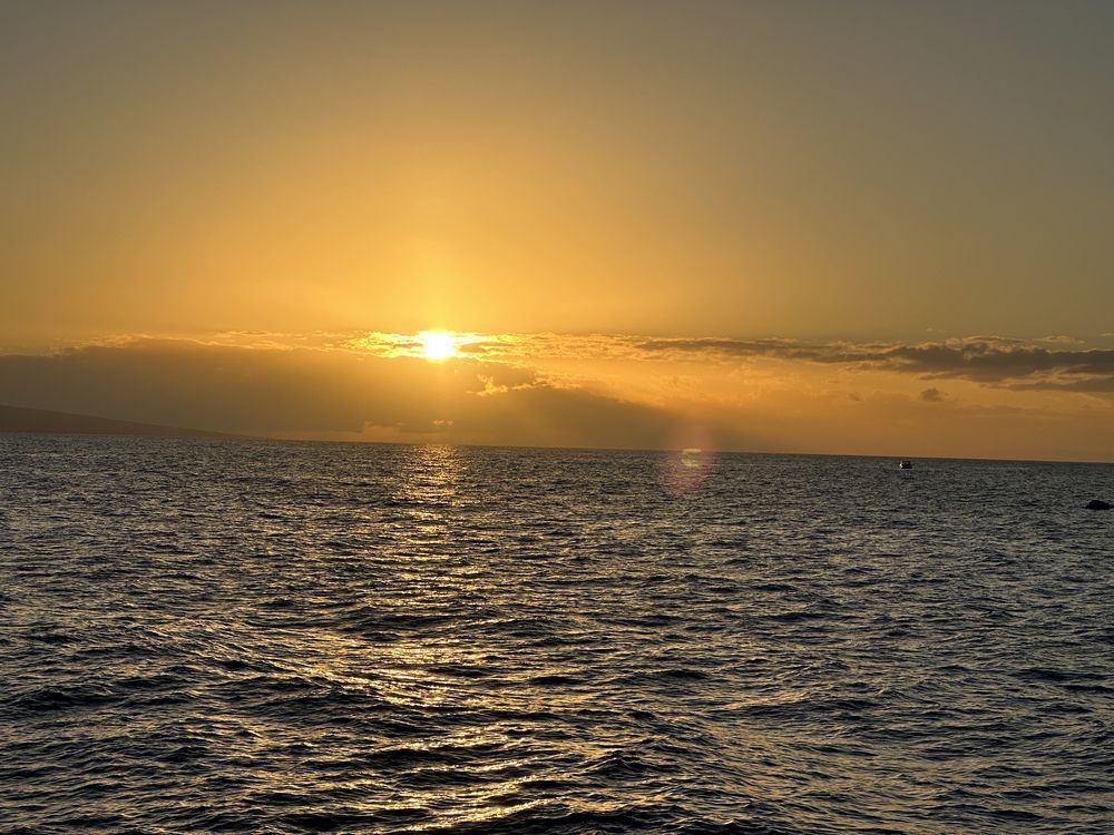 QUICKSILVER SUNSET DINNER CRUISE Updated September 2024 75 Photos & 59 Reviews 300 Ma