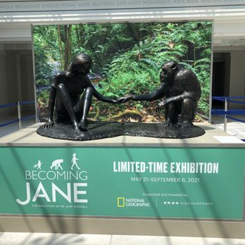 Field Museum - Museums Near Me - Chicago, Illinois