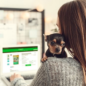 cat big builder remote control