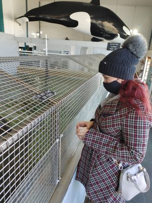 Seaside Aquarium by null