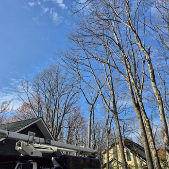 KBS Tree Service - Tree Services Near Me - Kunkletown, Pennsylvania