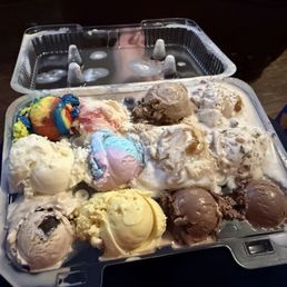 12 mini scoop sampler