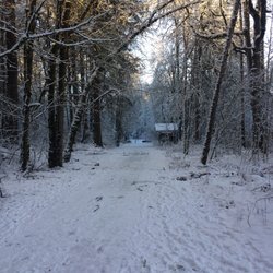 Bryant Woods Nature Park - After the January 2017 snowstorm.